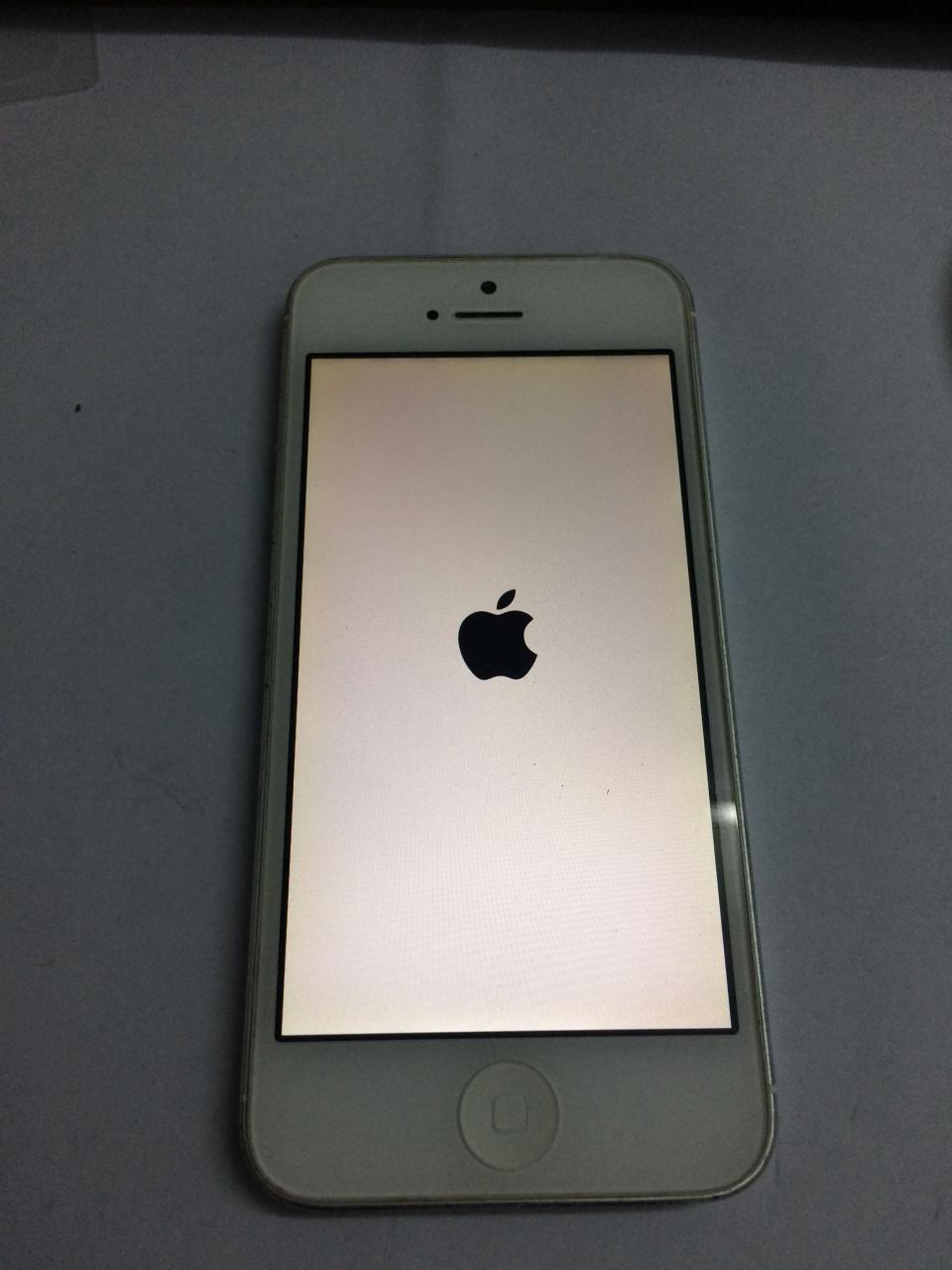 iphone5更换电池实拍