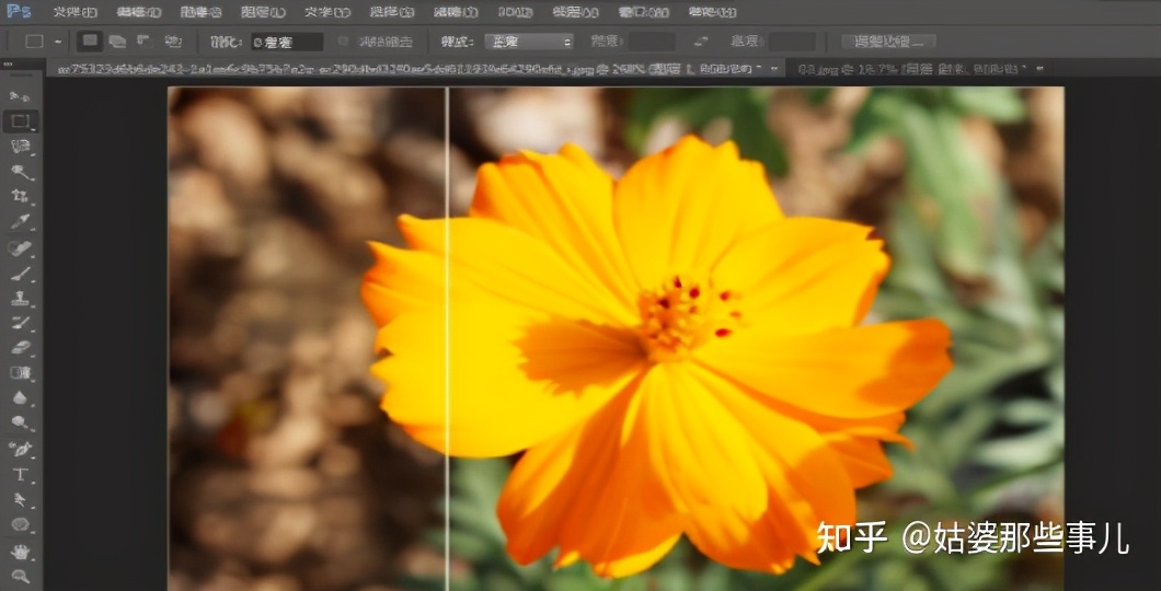 photoshop哪个版本最好用又稳定（详解各版本功能特点）