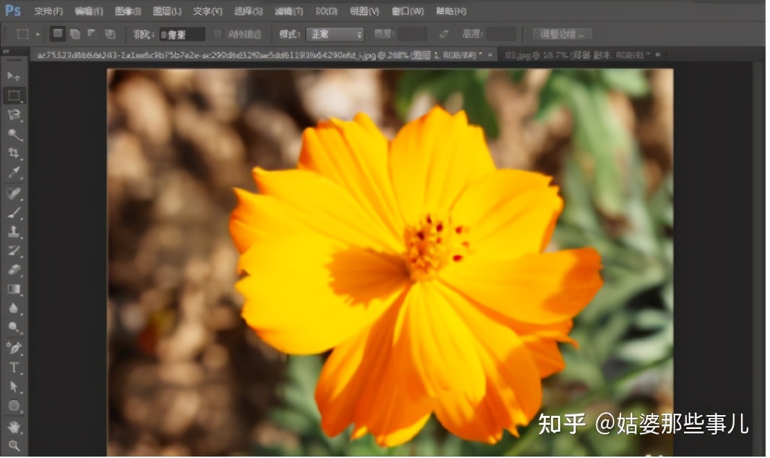 photoshop哪个版本最好用又稳定（详解各版本功能特点）